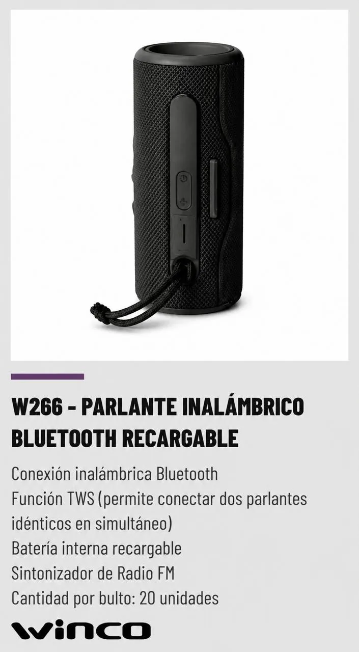 Parlante inalambrico Winco